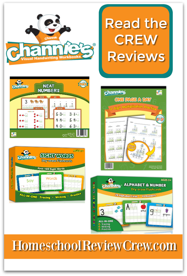 Channies-Dry-Erase-and-one-page-a-day-Reviews-2019